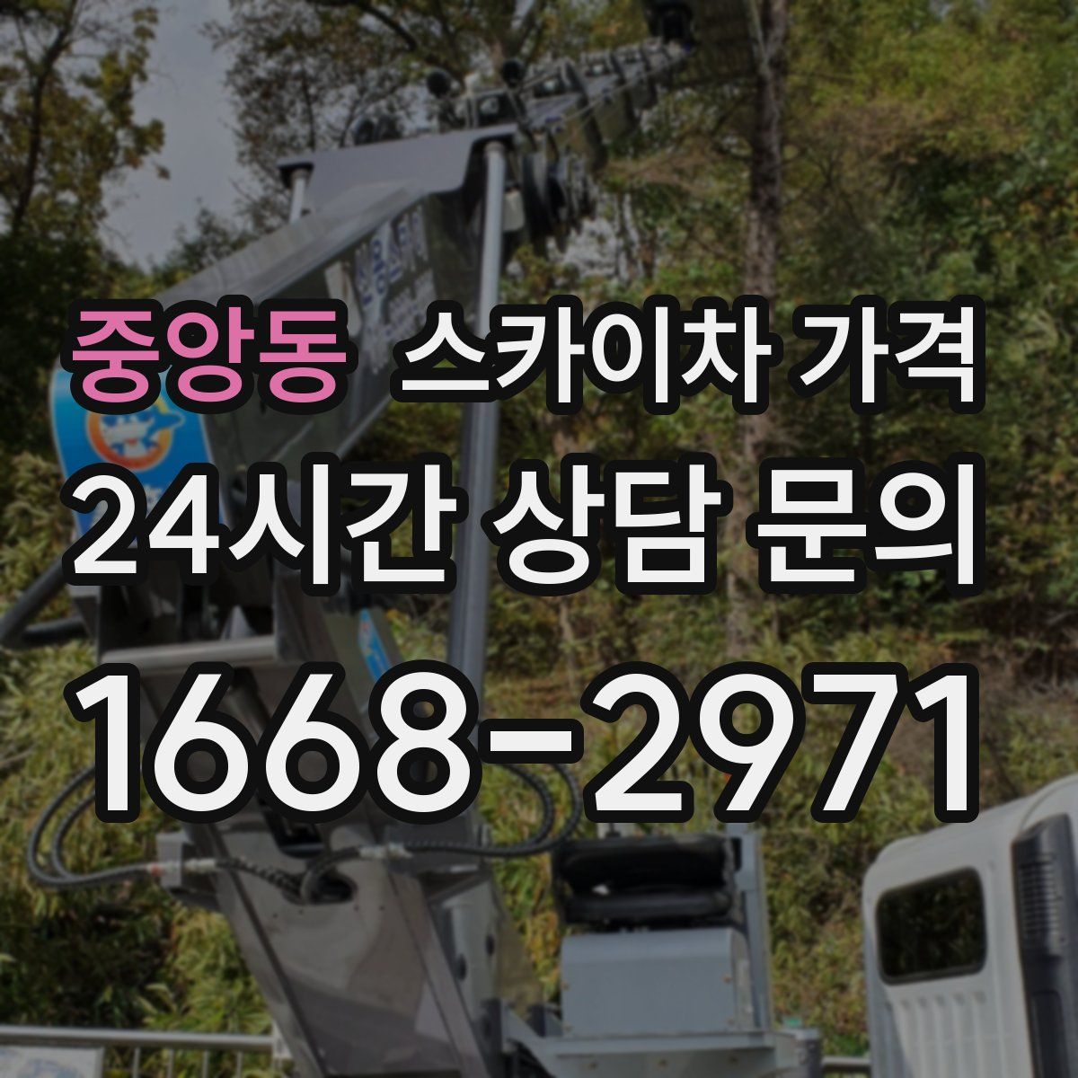 중앙동 스카이차 가격