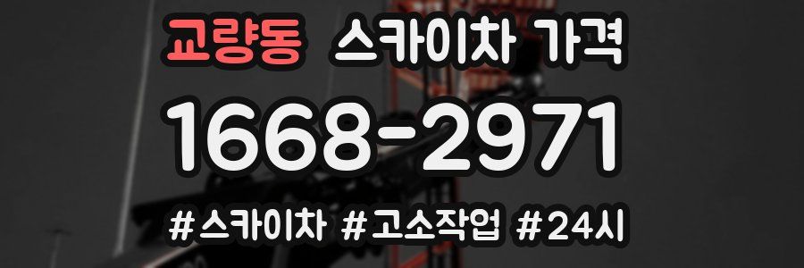 교량동 스카이차 가격