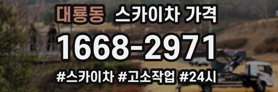 대룡동 스카이차 가격