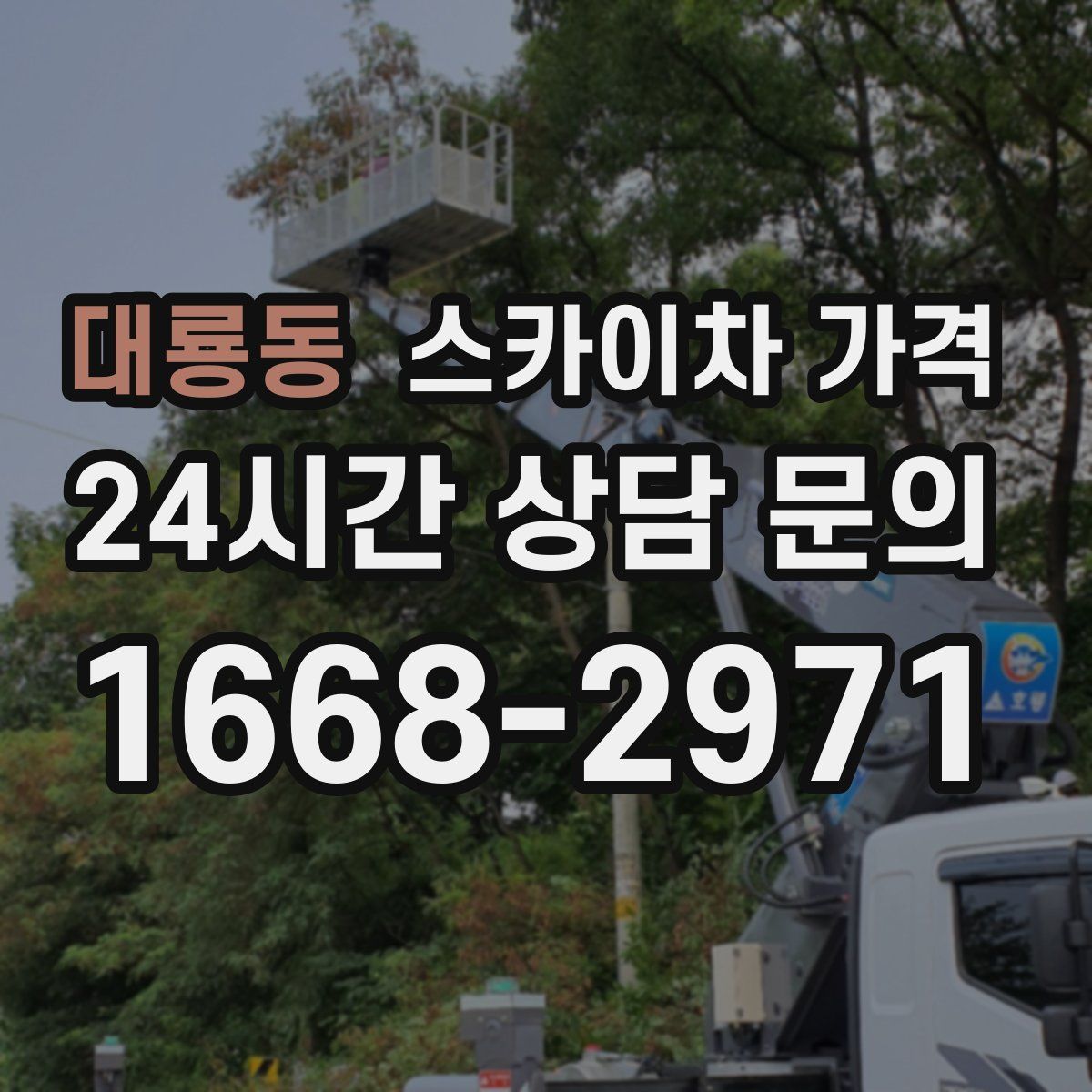 대룡동 스카이차 가격