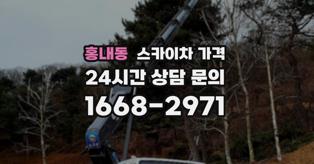 홍내동 스카이차 가격