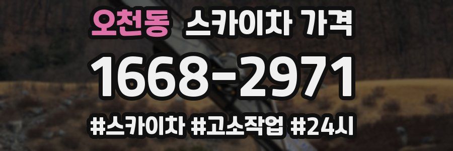 오천동 스카이차 가격