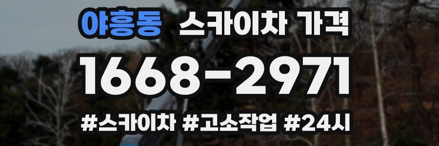 야흥동 스카이차 가격