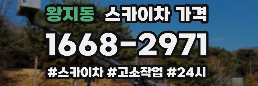 왕지동 스카이차 가격