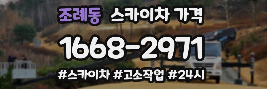 조례동 스카이차 가격