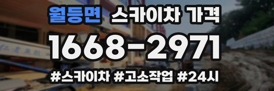 월등면 스카이차 가격