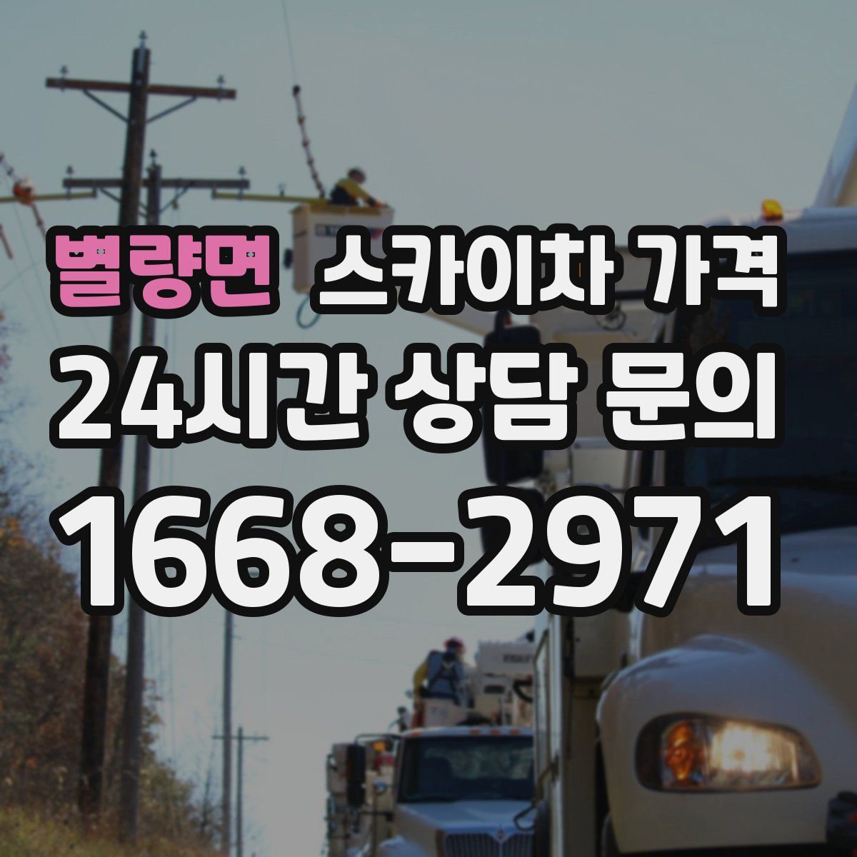 별량면 스카이차 가격