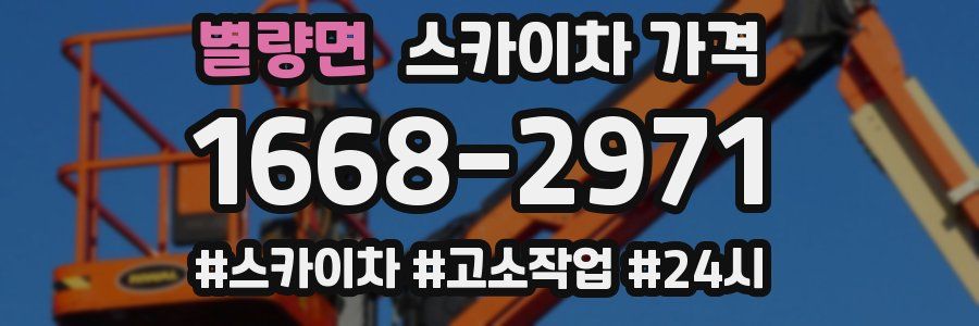 별량면 스카이차 가격