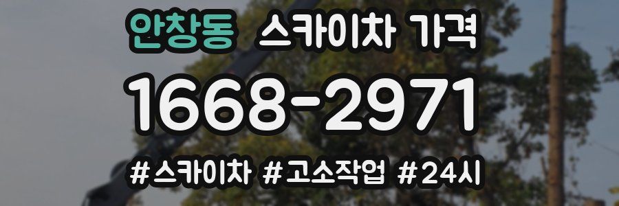 안창동 스카이차 가격