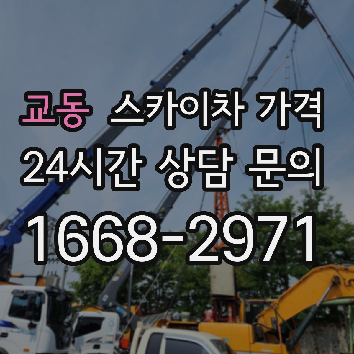 교동 스카이차 가격