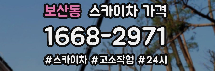 보산동 스카이차 가격