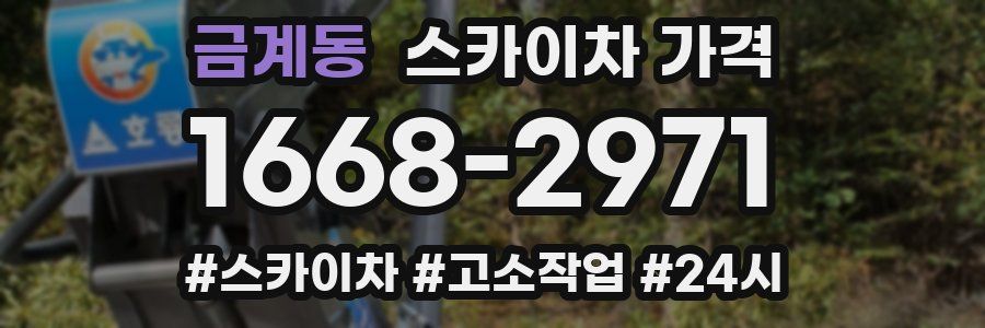 금계동 스카이차 가격