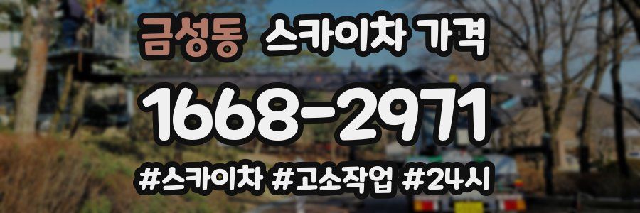 금성동 스카이차 가격