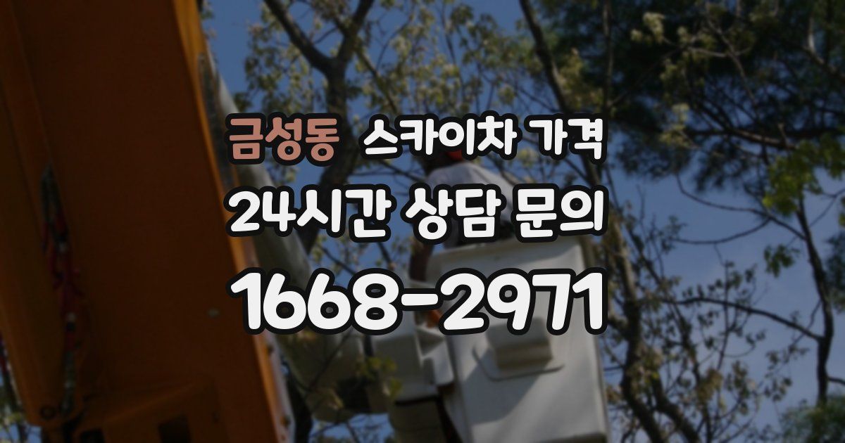 금성동 스카이차 가격