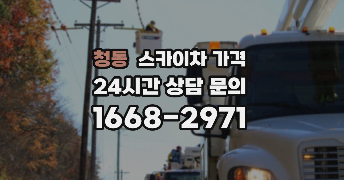 청동 스카이차 가격