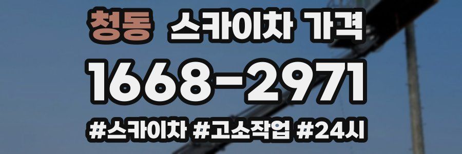 청동 스카이차 가격