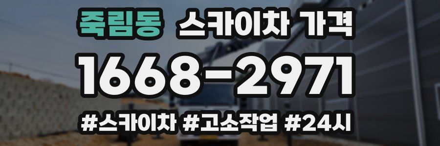 죽림동 스카이차 가격