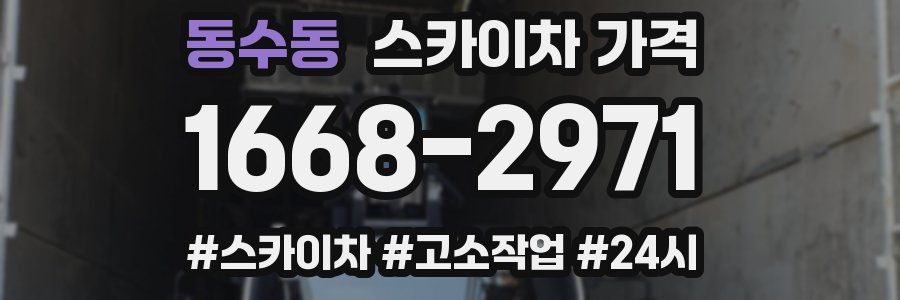 동수동 스카이차 가격