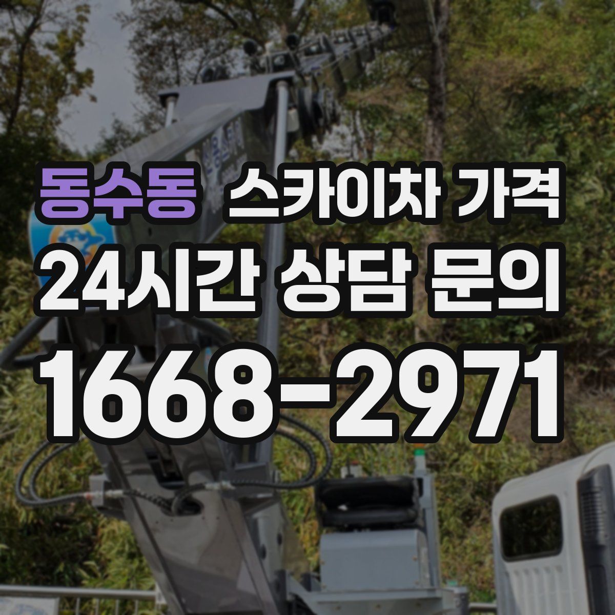 동수동 스카이차 가격