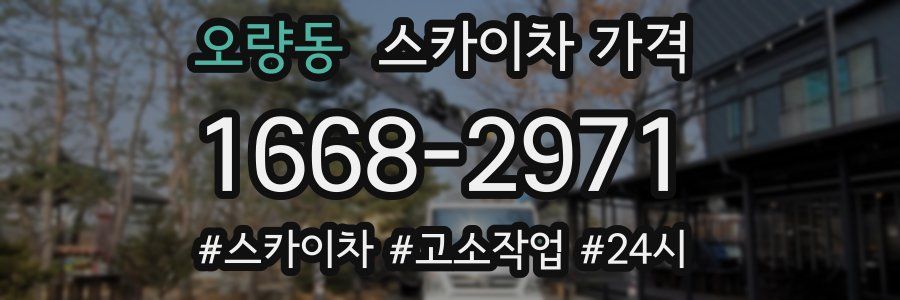 오량동 스카이차 가격