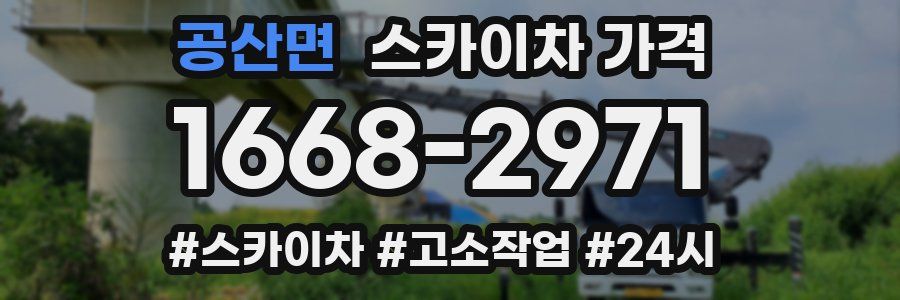 공산면 스카이차 가격