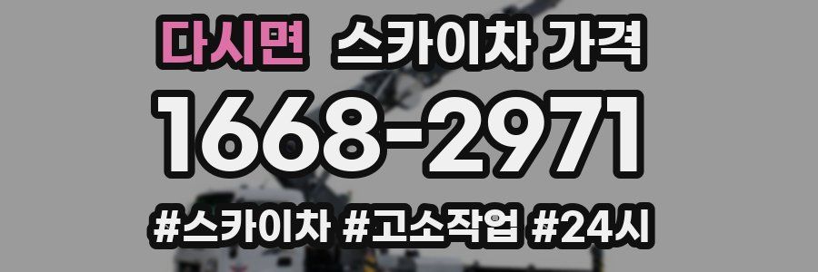 다시면 스카이차 가격