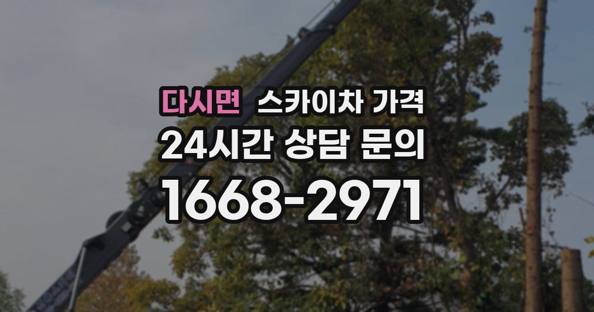 다시면 스카이차 가격