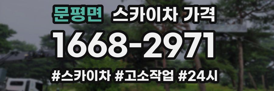 문평면 스카이차 가격