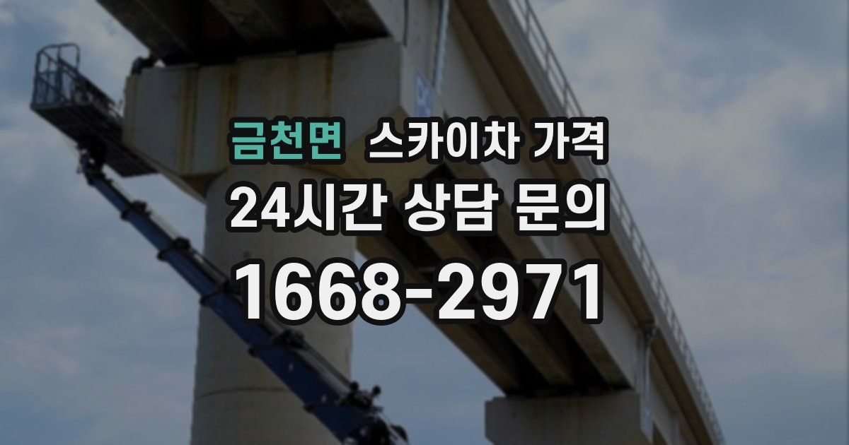금천면 스카이차 가격