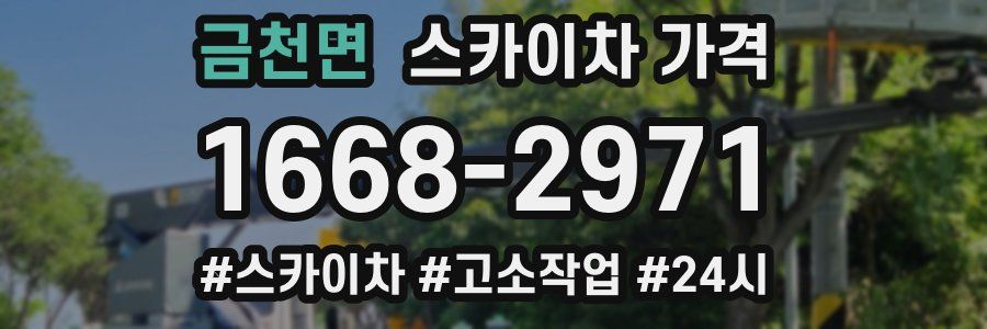 금천면 스카이차 가격