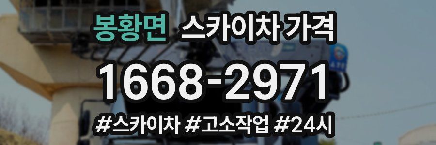 봉황면 스카이차 가격