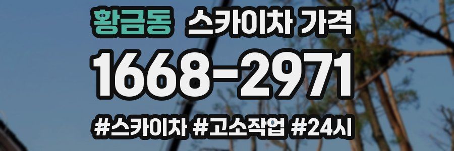 황금동 스카이차 가격