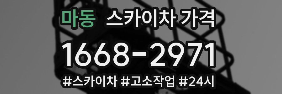 마동 스카이차 가격