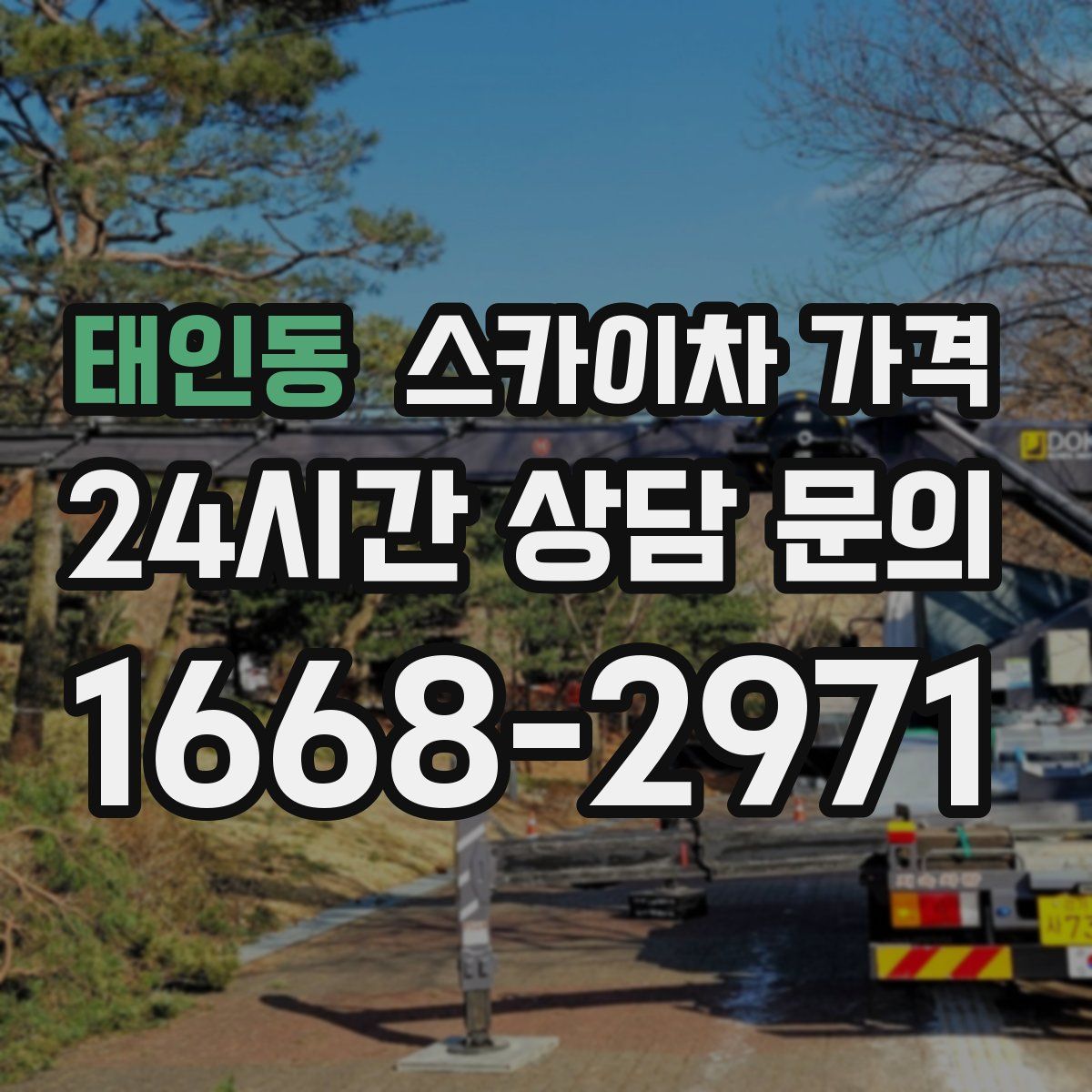 태인동 스카이차 가격