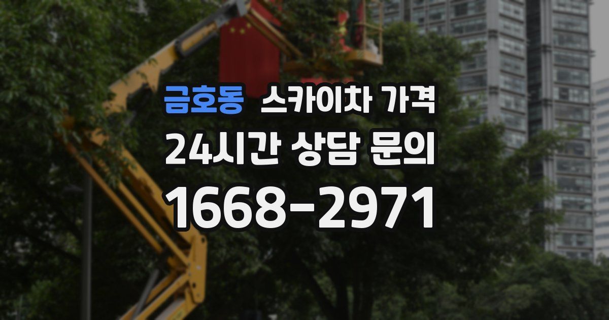 금호동 스카이차 가격