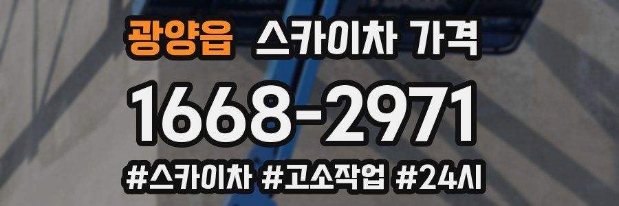 광양읍 스카이차 가격