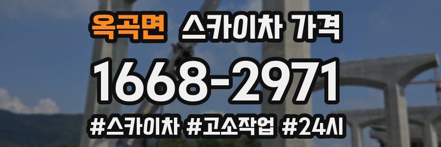 옥곡면 스카이차 가격