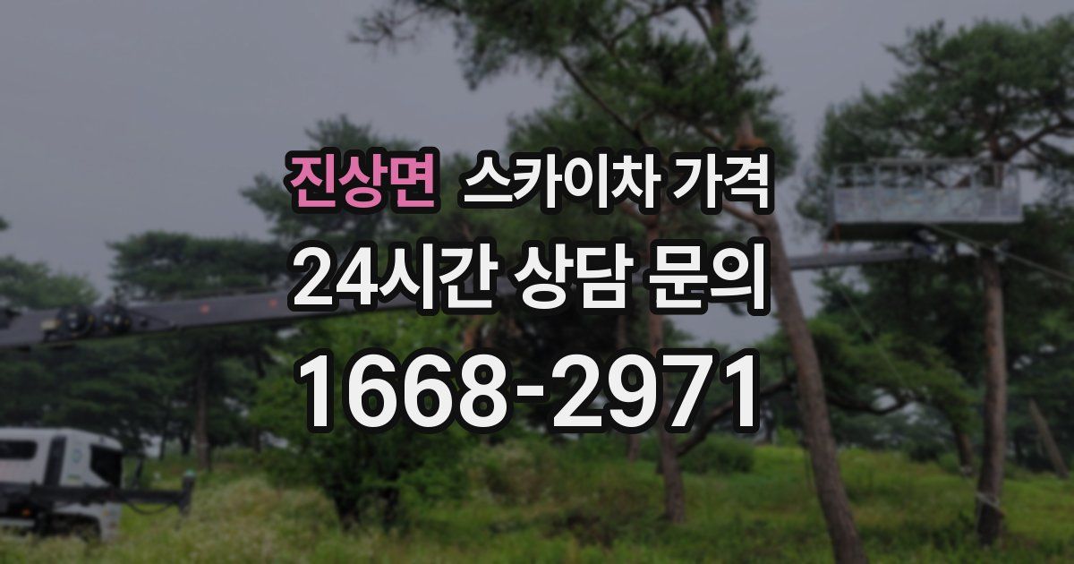 진상면 스카이차 가격