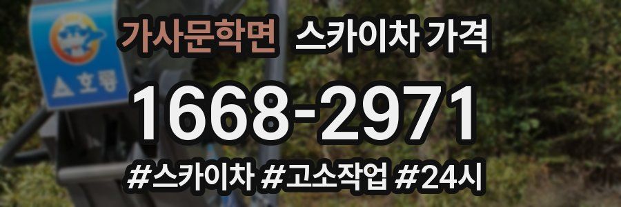 가사문학면 스카이차 가격