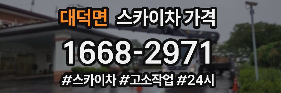 대덕면 스카이차 가격