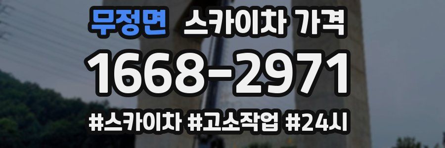 무정면 스카이차 가격