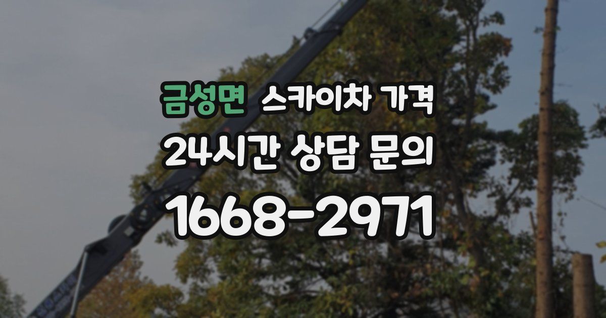 금성면 스카이차 가격