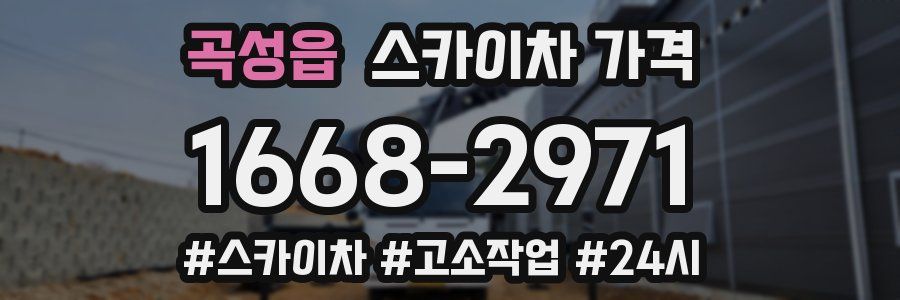 곡성읍 스카이차 가격