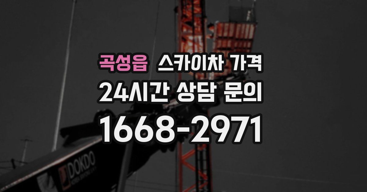 곡성읍 스카이차 가격