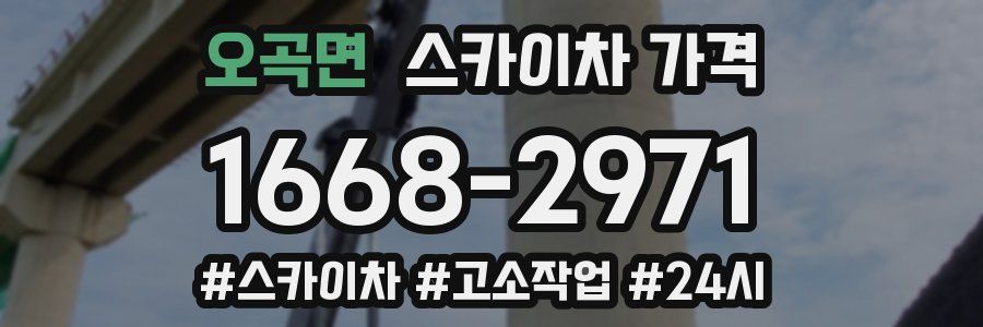 오곡면 스카이차 가격