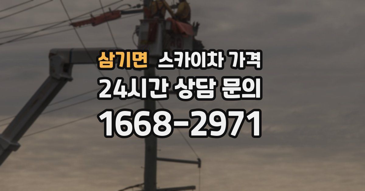 삼기면 스카이차 가격