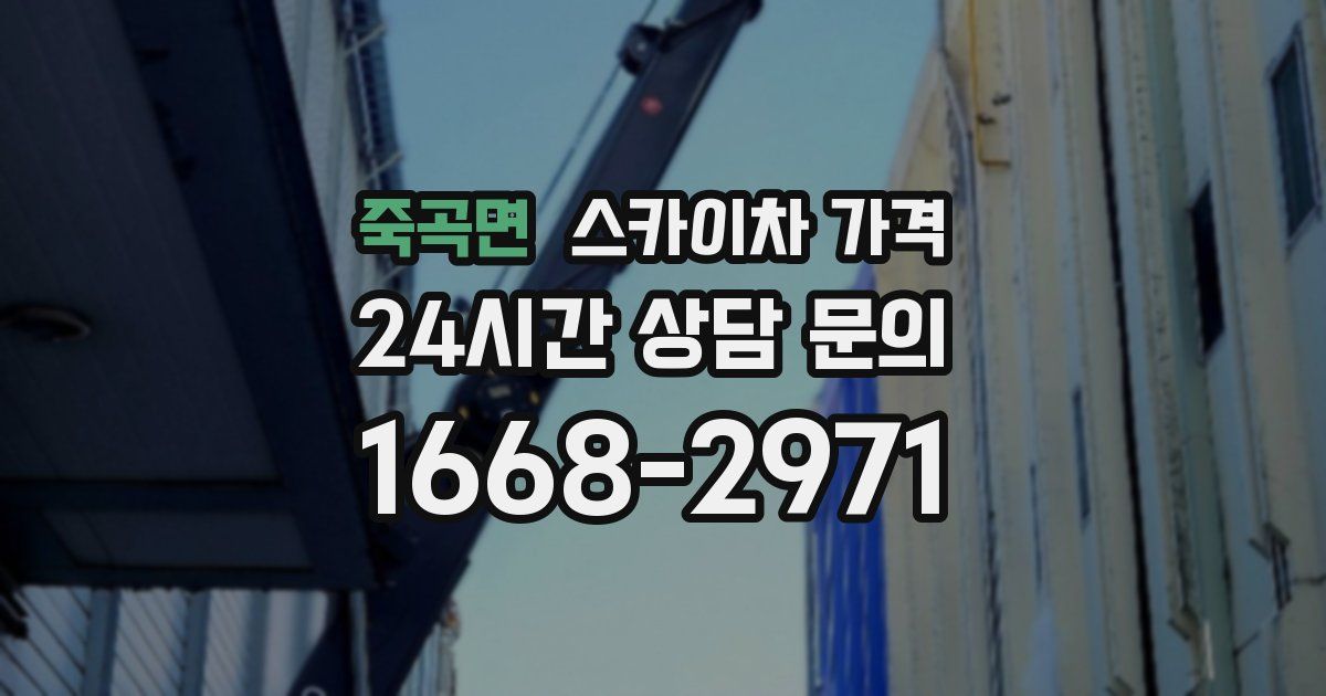 죽곡면 스카이차 가격