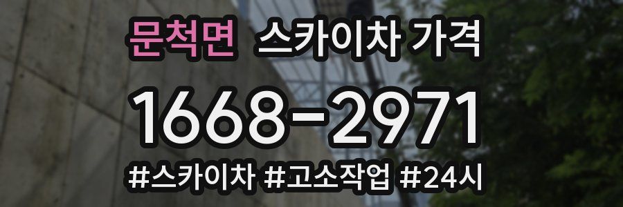 문척면 스카이차 가격