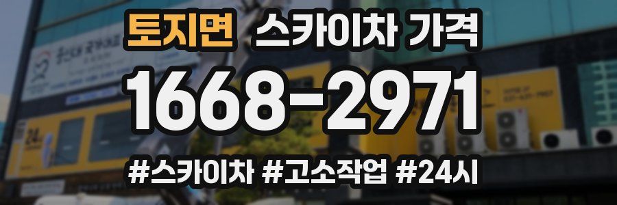 토지면 스카이차 가격