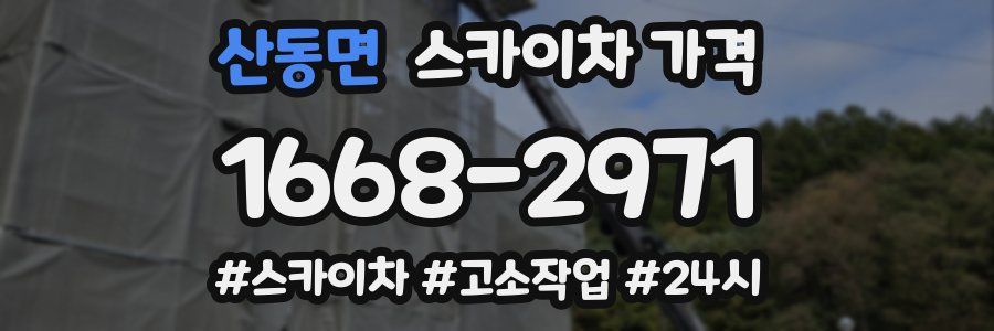 산동면 스카이차 가격